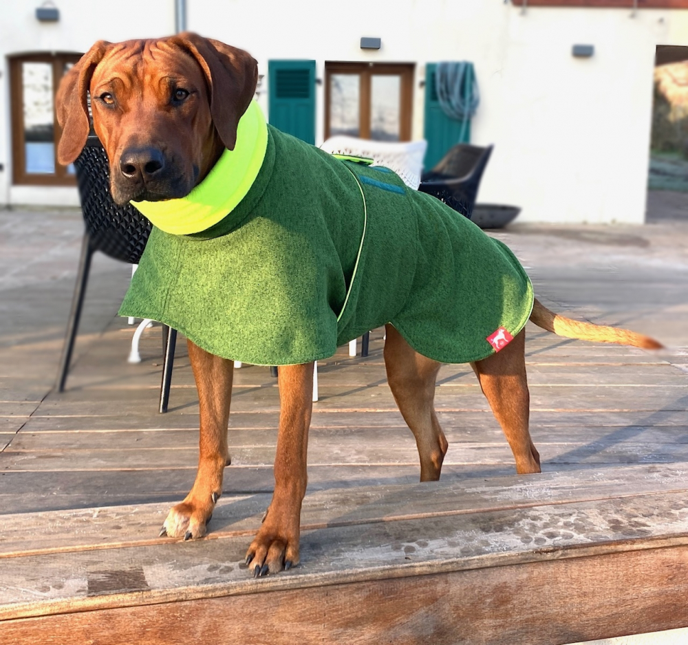 Winter CARDIGAN Jacke Grün NEON